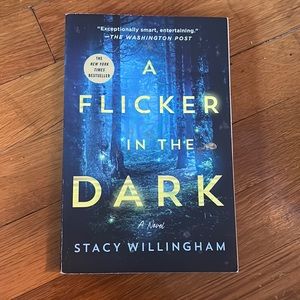 A Flicker in the Dark book by Stacy willingham